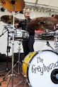 greyhounds 065